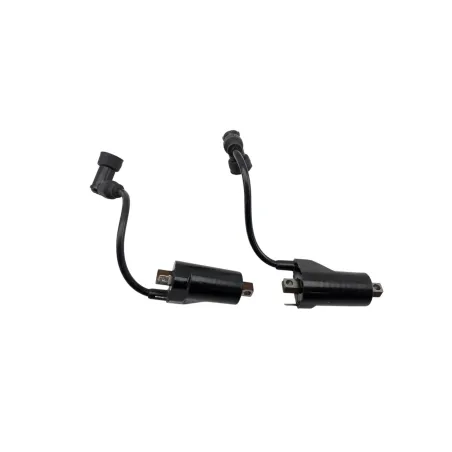 Bobine allumage SUZUKI GSE 500 2001 - 2002