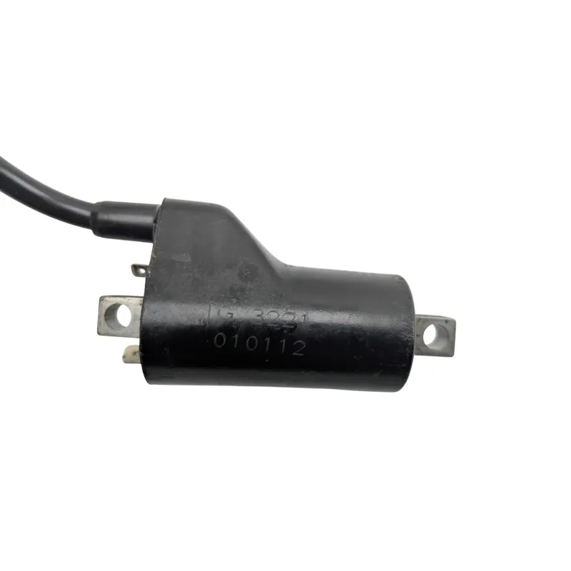 Bobine allumage SUZUKI GSE 500 2001 - 2002