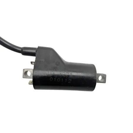 Bobine allumage SUZUKI GSE 500 2001 - 2002