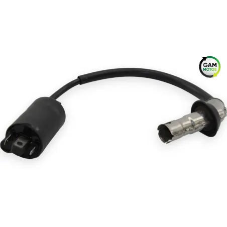 Bobine allumage PEUGEOT DJANGO 50 2018 - 2021