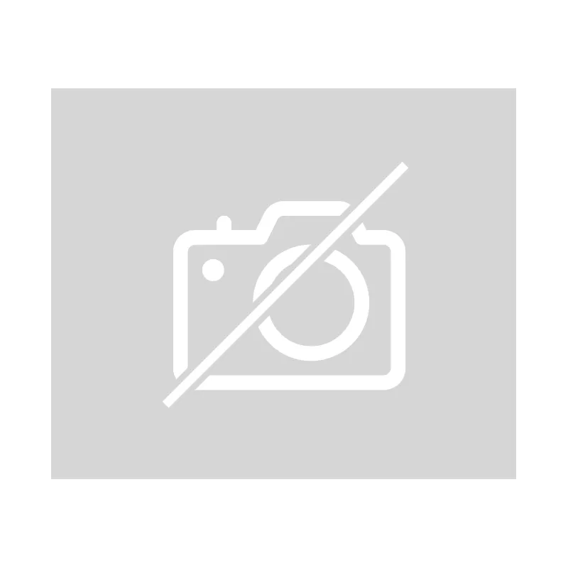 Support arriere INDIAN FTR 1200 2020-2024 CARBON