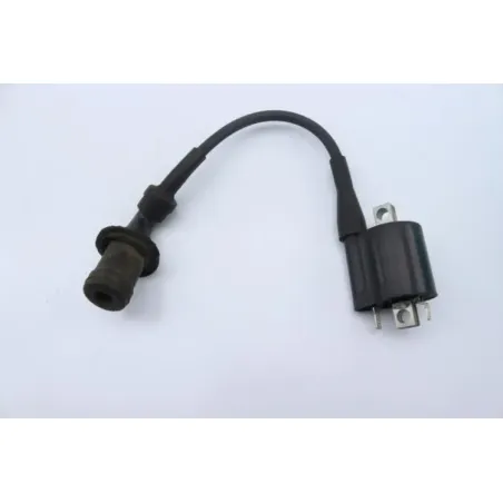 Bobine allumage YAMAHA CW 125 BWS 2010 - 2013