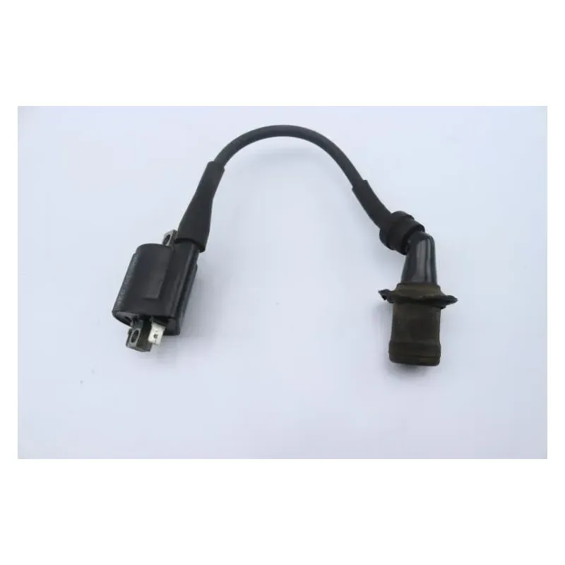Bobine allumage YAMAHA CW 125 BWS 2010 - 2013
