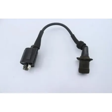Bobine allumage YAMAHA CW 125 BWS 2010 - 2013