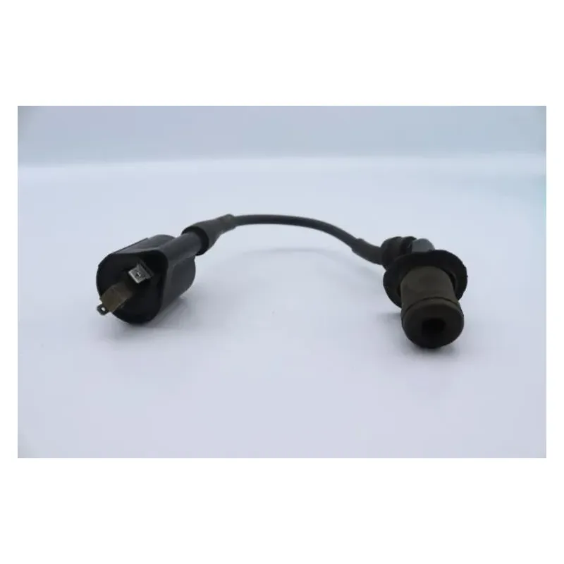 Bobine allumage YAMAHA CW 125 BWS 2010 - 2013