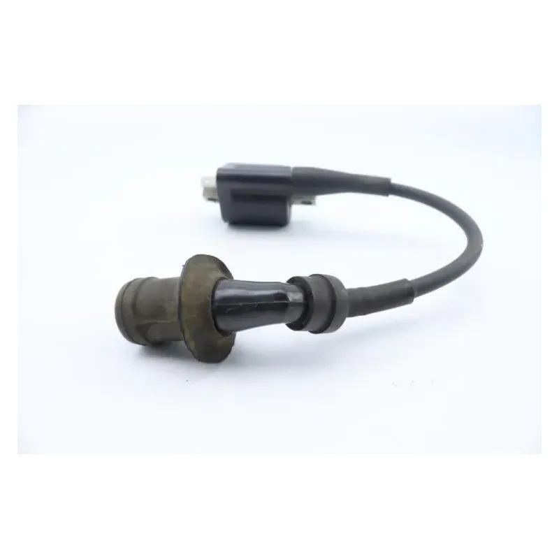 Bobine allumage YAMAHA CW 125 BWS 2010 - 2013