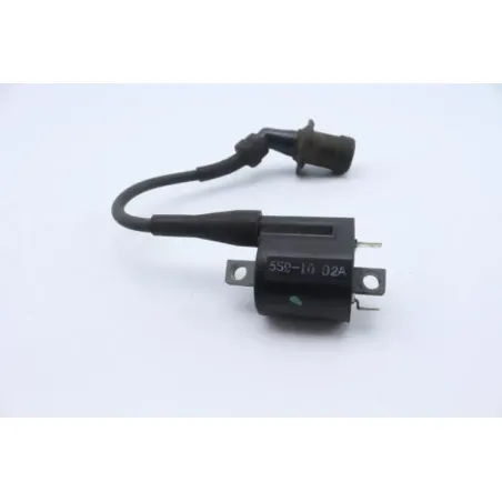 Bobine allumage YAMAHA CW 125 BWS 2010 - 2013