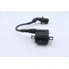 Bobine allumage YAMAHA CW 125 BWS 2010 - 2013 Bobine allumage YAMAHA CW 125 BWS 2010 - 2013