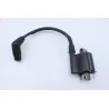 Bobine allumage HONDA CBF 125 2009 - 2014