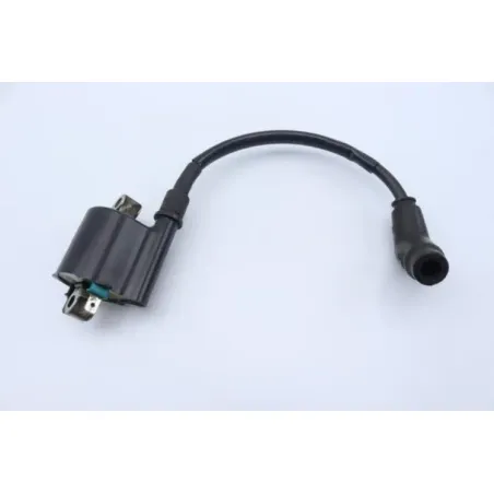 Bobine allumage HONDA CBF 125 2009 - 2014