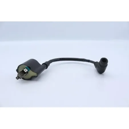 Bobine allumage HONDA CBF 125 2009 - 2014