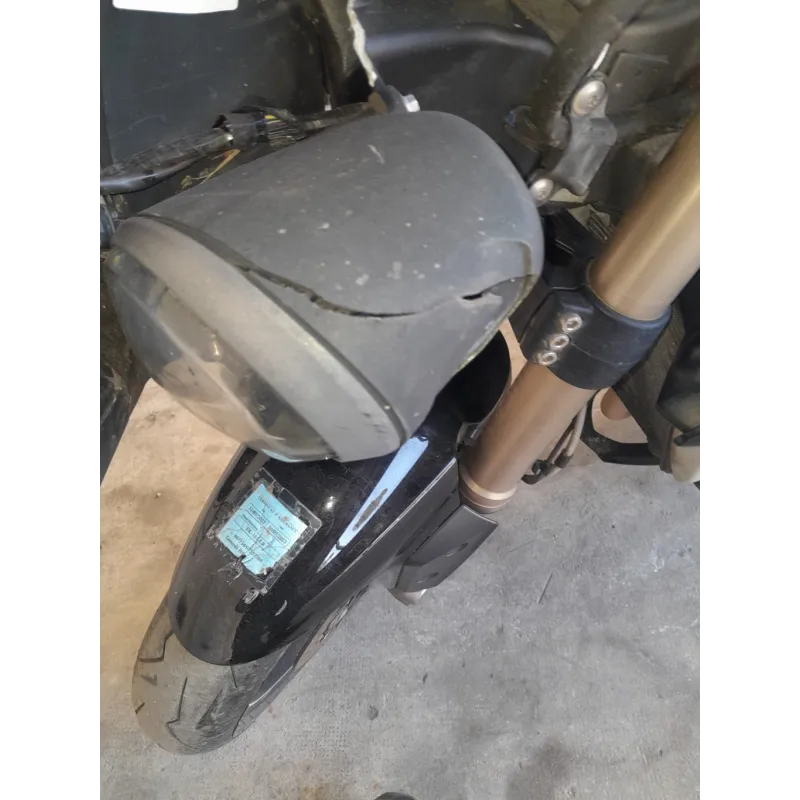 TRIUMPH SPEED TRIPLE 1050