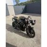 TRIUMPH SPEED TRIPLE 1050 TRIUMPH SPEED TRIPLE 1050