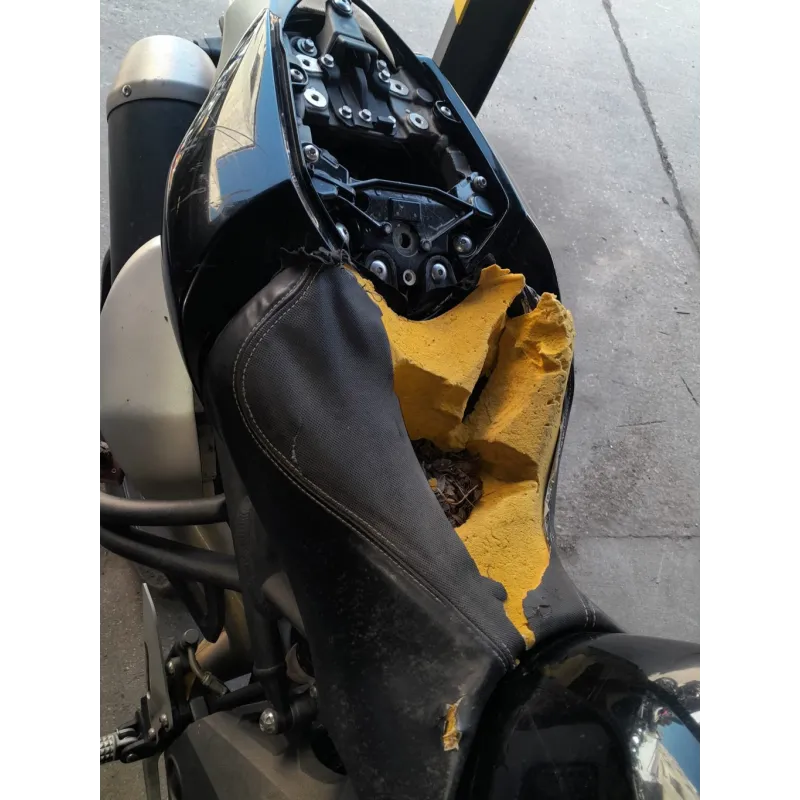 TRIUMPH SPEED TRIPLE 1050