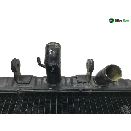 Radiateur eau SUZUKI GT 750 1973-1974
