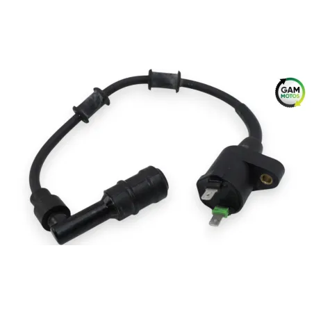 Bobine allumage PIAGGIO VESPA PRIMAVERA 50 2020 - 2023