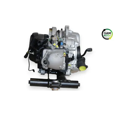 Moteur PIAGGIO VESPA PRIMAVERA 50 2020 - 2023
