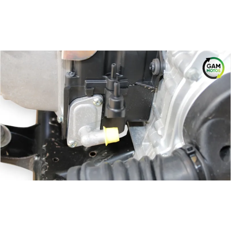 Moteur PIAGGIO VESPA PRIMAVERA 50 2020 - 2023