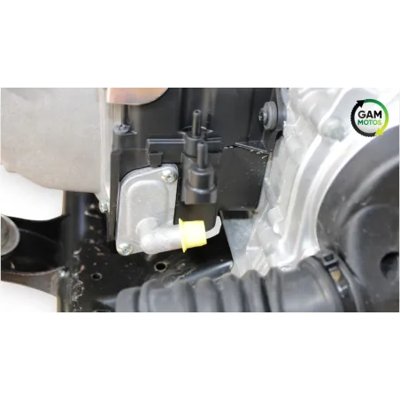 Moteur PIAGGIO VESPA PRIMAVERA 50 2020 - 2023