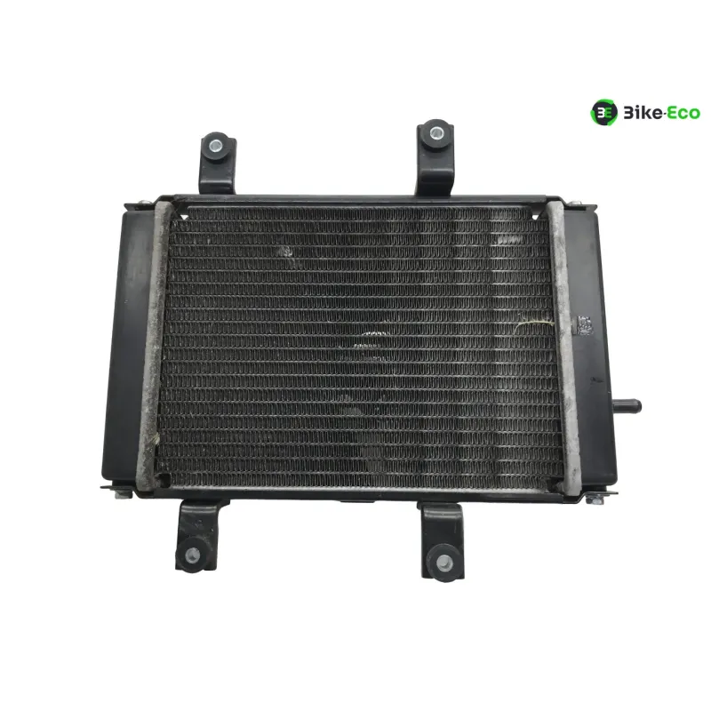 Radiateur eau SYM GTS 125 2010-2013 I EVO