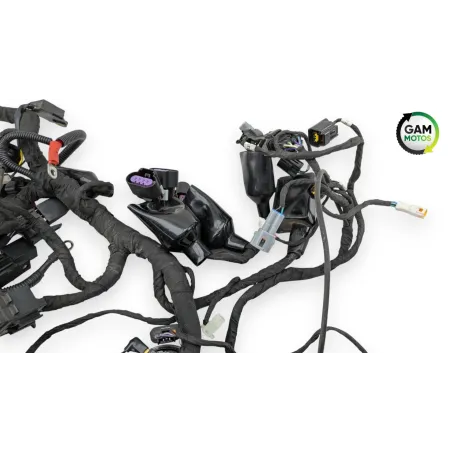 Faisceau electrique BENDA LFC 700 2023 - 2025