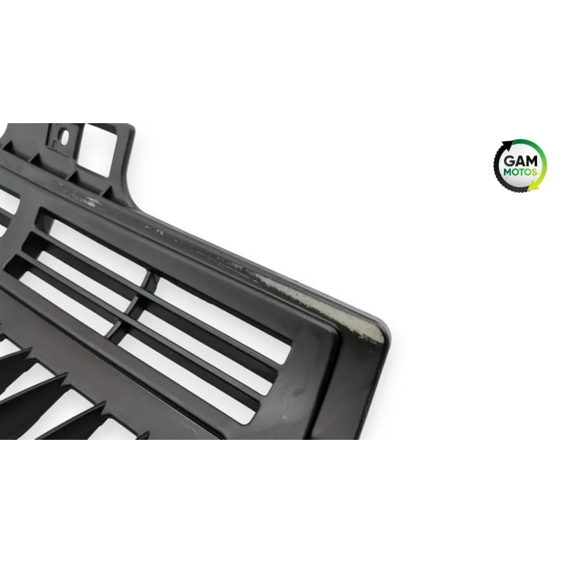 Grille de radiateur BENDA LFC 700 2023 - 2025