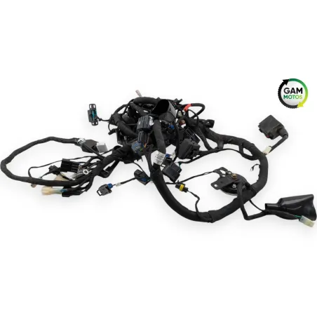 Faisceau electrique BENDA LFC 700 2023 - 2025