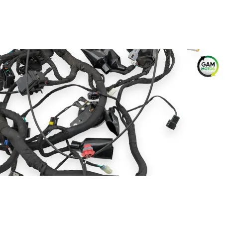Faisceau electrique BENDA LFC 700 2023 - 2025