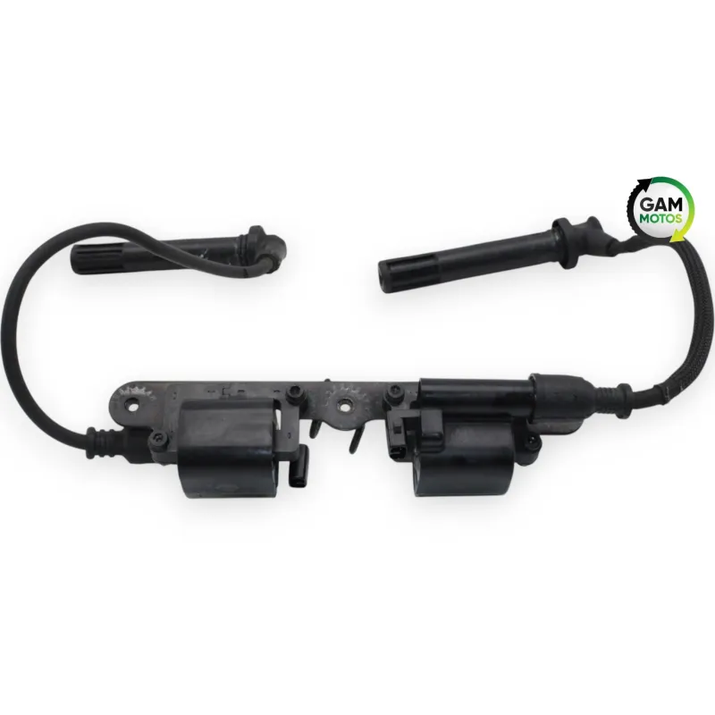 Bobine allumage DUCATI MONSTER 821 ABS 2014 - 2017