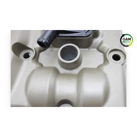 Couvre culasse DUCATI MONSTER 821 ABS 2014 - 2017