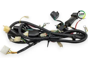 Faisceau electrique ZNEN ZN 125 T 2006 - 2016