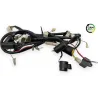Faisceau electrique ZNEN ZN 125 T 2006 - 2016 Faisceau electrique ZNEN ZN 125 T 2006 - 2016