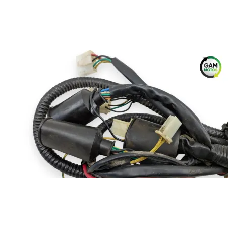 Faisceau electrique ZNEN ZN 125 T 2006 - 2016