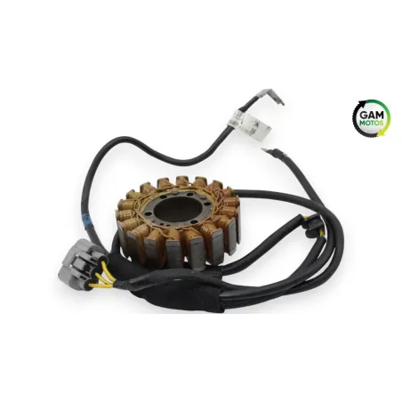 Stator alternateur DUCATI MONSTER 821 ABS 2014 - 2017