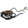 Stator alternateur DUCATI MONSTER 821 ABS 2014 - 2017