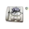 Couvre culasse DUCATI MONSTER 821 ABS 2014 - 2017 Couvre culasse DUCATI MONSTER 821 ABS 2014 - 2017