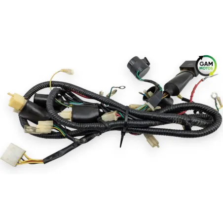 Faisceau electrique ZNEN ZN 125 T 2006 - 2016