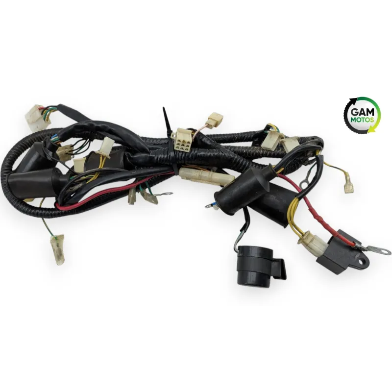 Faisceau electrique ZNEN ZN 125 T 2006 - 2016
