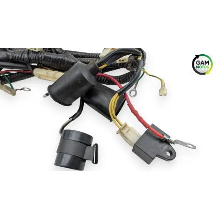 Faisceau electrique ZNEN ZN 125 T 2006 - 2016