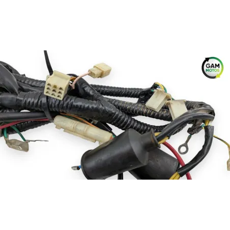 Faisceau electrique ZNEN ZN 125 T 2006 - 2016
