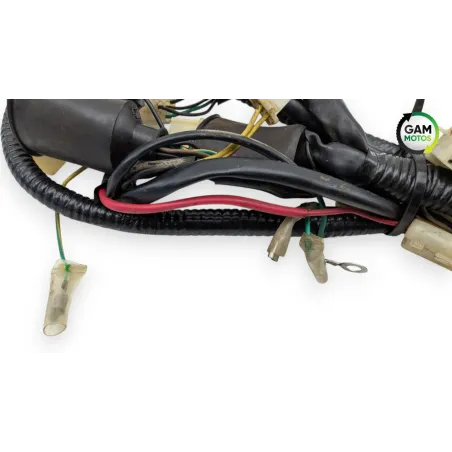 Faisceau electrique ZNEN ZN 125 T 2006 - 2016