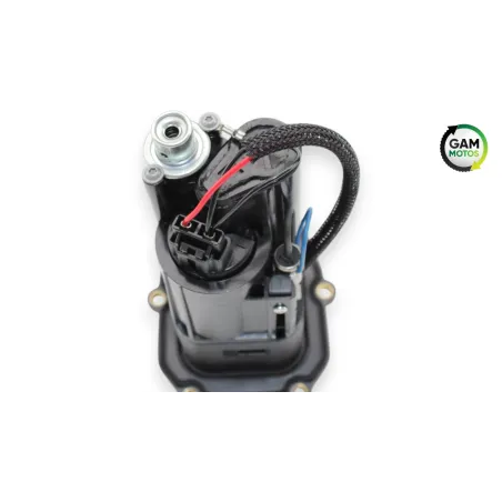 Pompe a essence DUCATI MONSTER 821 ABS 2014 - 2017
