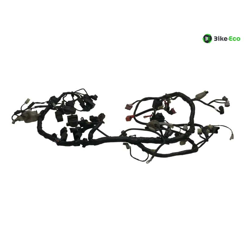 Faisceau electrique HONDA XL 1000 V 2007-2011 VARADERO