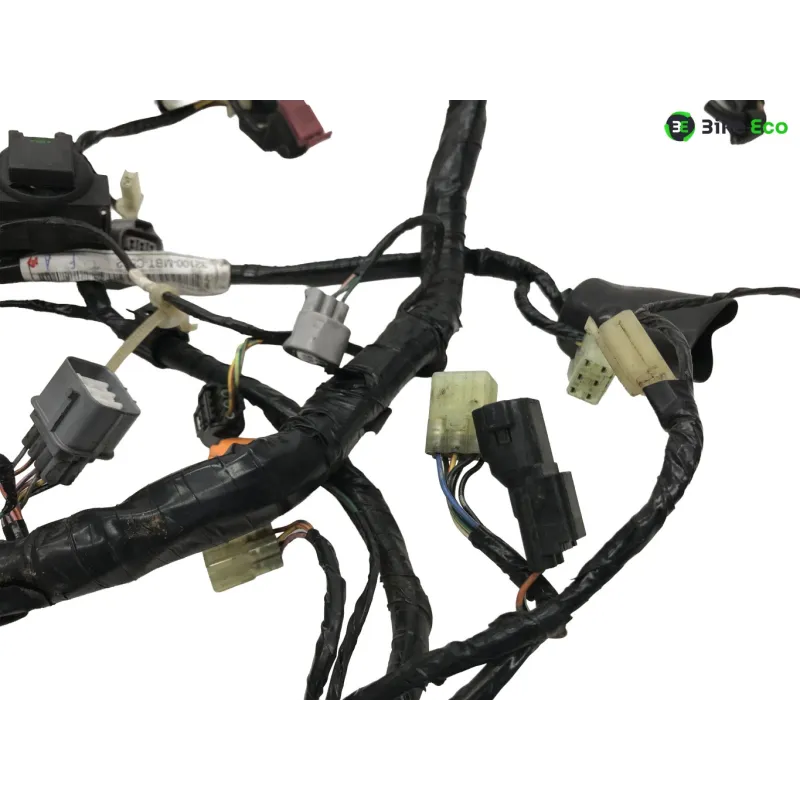 Faisceau electrique HONDA XL 1000 V 2007-2011 VARADERO