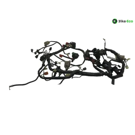 Faisceau electrique HONDA XL 1000 V 2007-2011 VARADERO