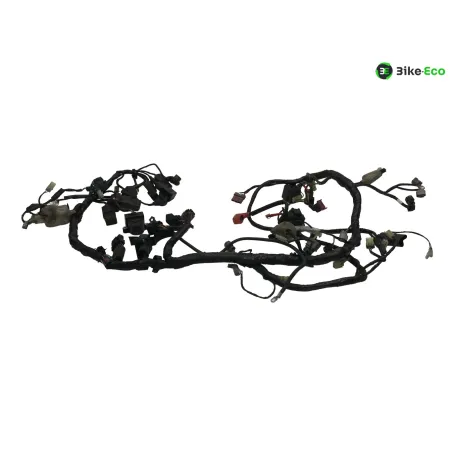 Faisceau electrique HONDA XL 1000 V 2007-2011 VARADERO