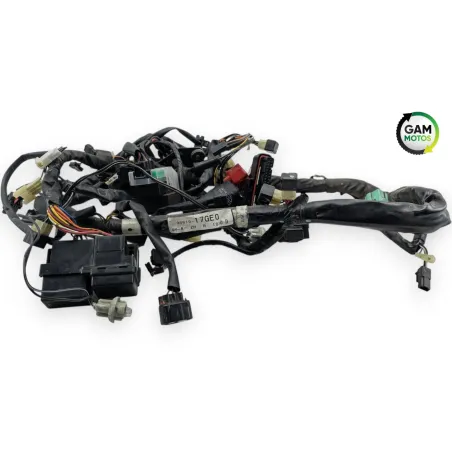 Faisceau electrique SUZUKI SV 650 N 2003 - 2009