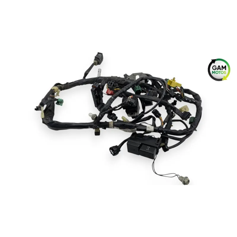 Faisceau electrique SUZUKI SV 650 N 2003 - 2009
