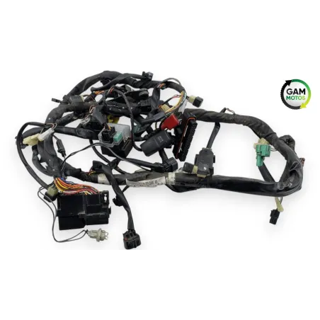 Faisceau electrique SUZUKI SV 650 N 2003 - 2009