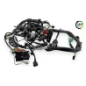 Faisceau electrique SUZUKI SV 650 N 2003 - 2009